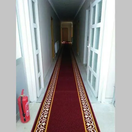 Saray *